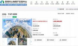 深圳今日头条最火爆料,惊曝大事件，揭秘背后惊人真相！