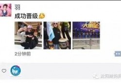 沈阳学生爆料新闻视频大全,校园新闻视频大盘点
