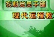 养蜂技术爆料视频下载,视频爆料带你走进蜜蜂王国