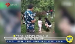 孔雀爆料直播视频大全集