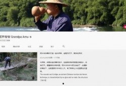 抖音爆料西瓜视频,西瓜视频新动向，揭秘热门内容背后的秘密