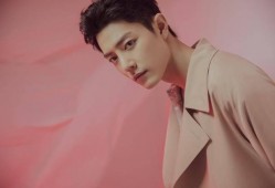 新浪娱乐肖战粉丝爆料,揭秘明星背后的真实故事