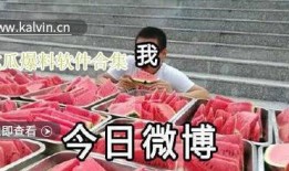 吃瓜爆料视频观看,吃瓜爆料视频背后的惊人真相