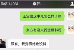 各类真实爆料视频网站,各大视频网站背后的秘密与争议
