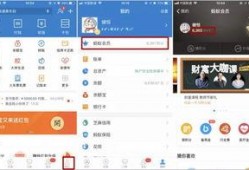 新蚂蚁技能爆料攻略视频,揭秘视频中的实用技巧与策略